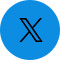 twitter-icon